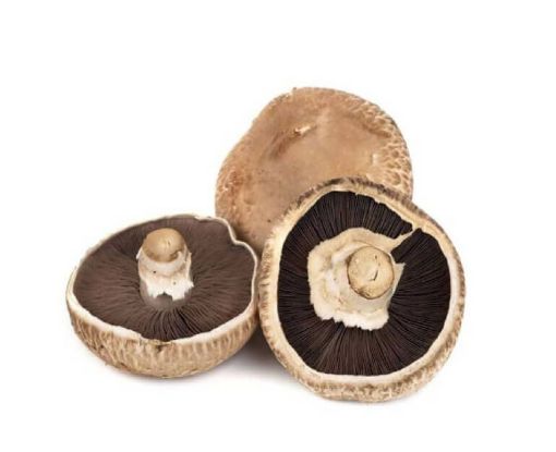 Imagen de HONGO PORTOBELLO MULTIFRESCOS BANDEJA 300 G
