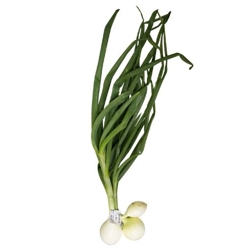 Imagen de CEBOLLA TIERNA ROLLO 1 UND