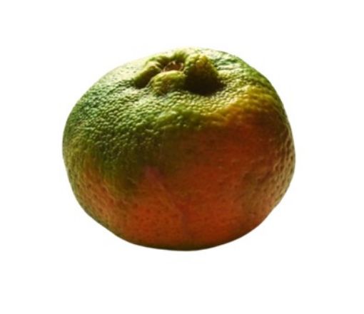 Imagen de MANDARINA 1 UND