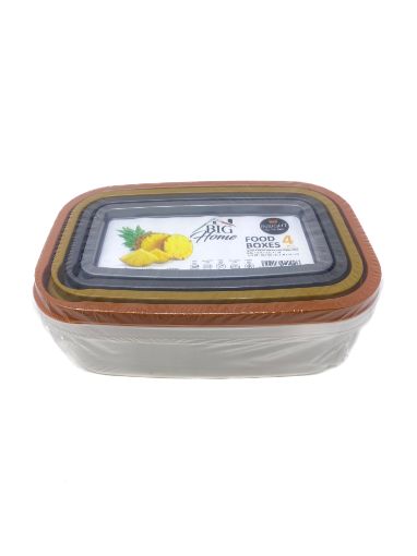 Imagen de SET DE RECIPIENTES BIG HOME PARA ALIMENTOS DE PLÁSTICO 4 PIEZAS #BG-TLT-004 1 UND