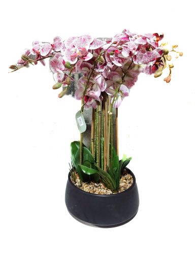 Imagen de PLANTA SOHO ARTIFICIAL ORQUIDEAS #310091 1 UND