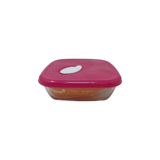 Imagen de ASADERO DE VIDRIO NEMO CON TAPA  #61110200828975 1 UND